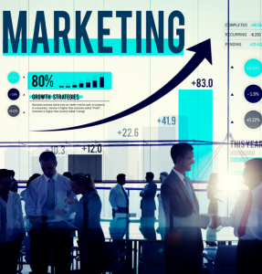 Digital marketing workshop